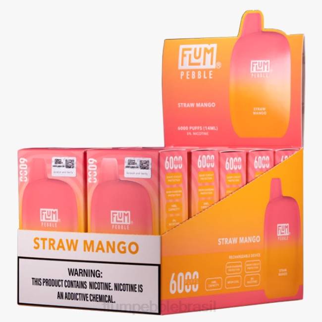 FLUM PEBBLES 6.000 baforadas 10 pacotes manga palha 828A69 | FLUM PEBBLE VAPE PRICE