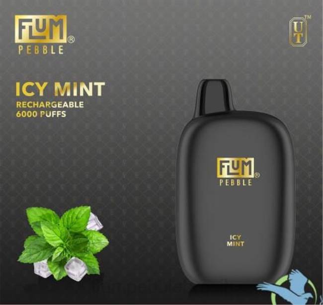 FLUM PEBBLES 6.000 baforadas hortelã gelada 828A49 | FLUM PEBBLE VAPE PRICE