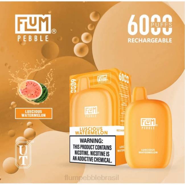 FLUM PEBBLES 6.000 baforadas melancia deliciosa 828A50 | FLUM PEBBLE VAPE NEAR ME