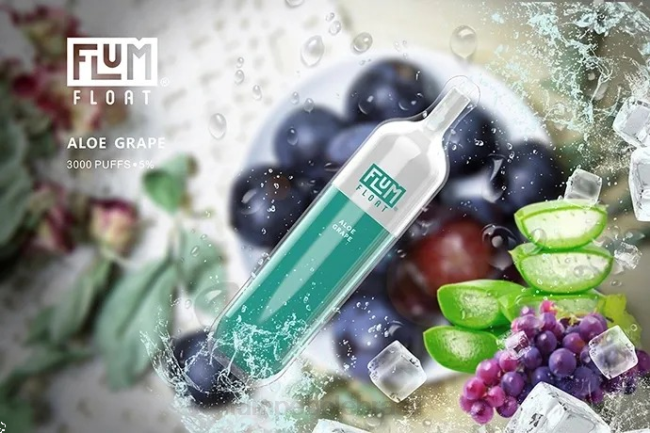 FLUM FLOAT 3.000 baforadas uva aloe 828A2 | FLUM PEBBLE BRASÃLIA